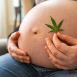 cbd grossesse