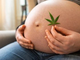 cbd grossesse