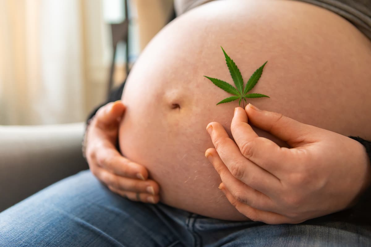 cbd grossesse