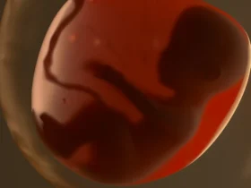 Gestation pour autrui aux États-Unis