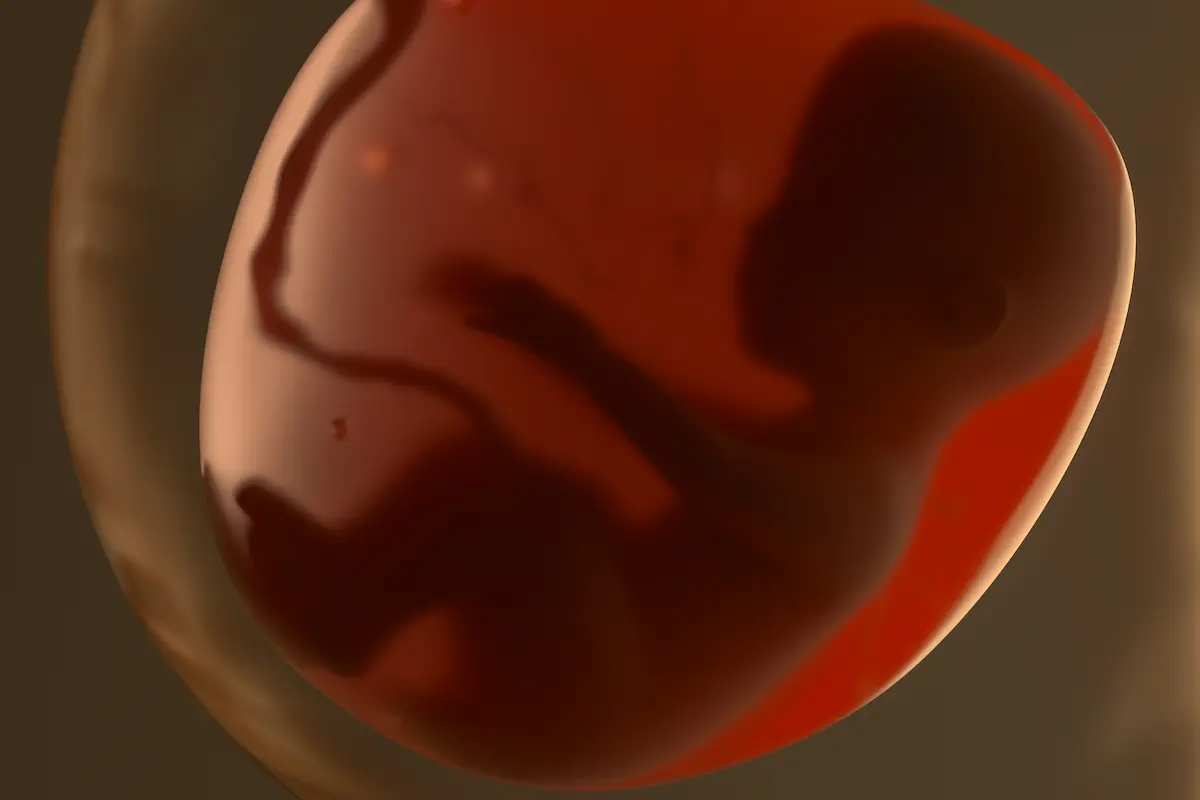 Gestation pour autrui aux États-Unis